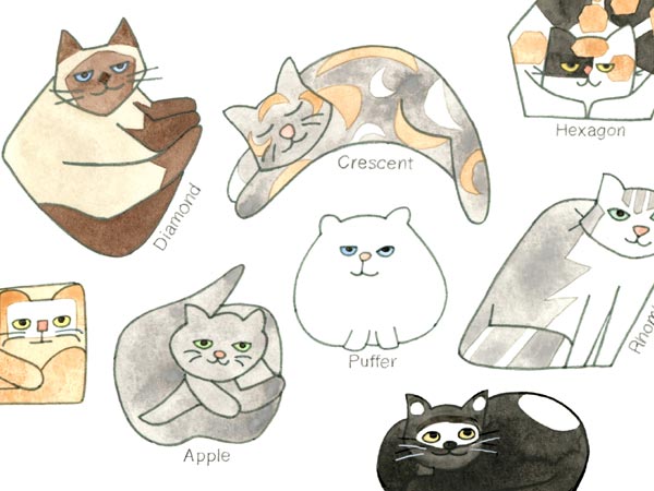 Cat Shapes